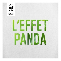 WWF podcast effet panda sensibilisation protection nature vivant 2 1024x1024 419 250