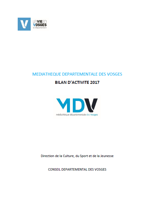 rapport activite 2017